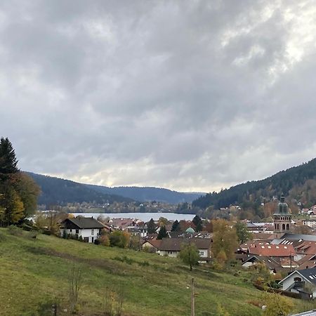 Entre Lac Et Pistes De Ski Gérardmer Eksteriør billede