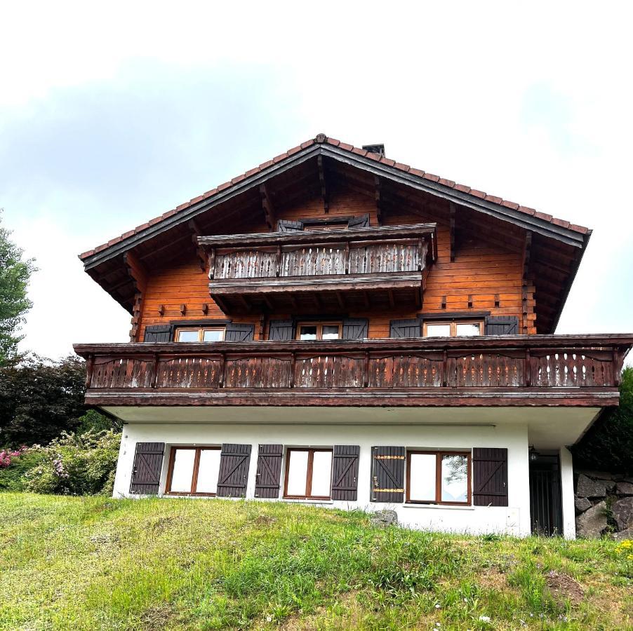 Entre Lac Et Pistes De Ski Gérardmer Eksteriør billede